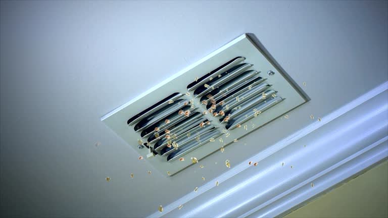 Best Ductwork Cleaning Services  in Clermont, IN