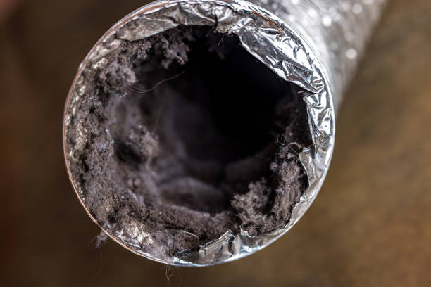 Best Duct Cleaning for Homes  in Clermont, IN